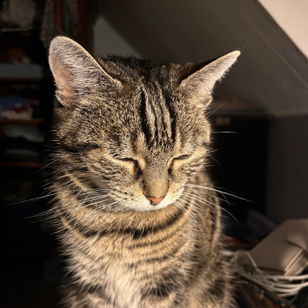 Moka