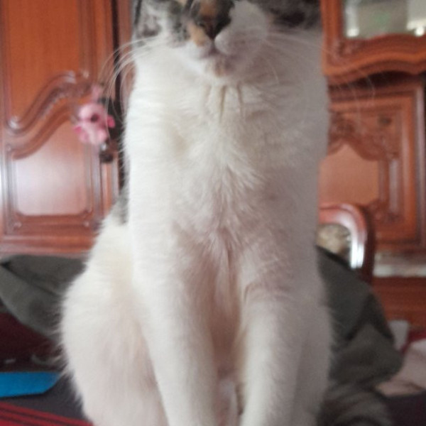 Minnie