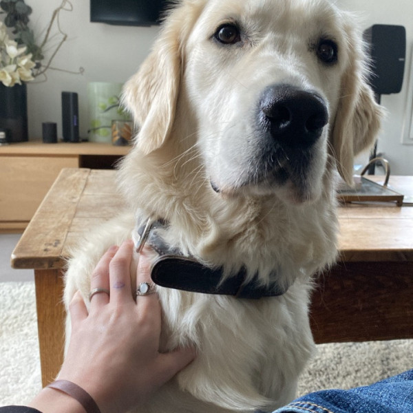 Oscar