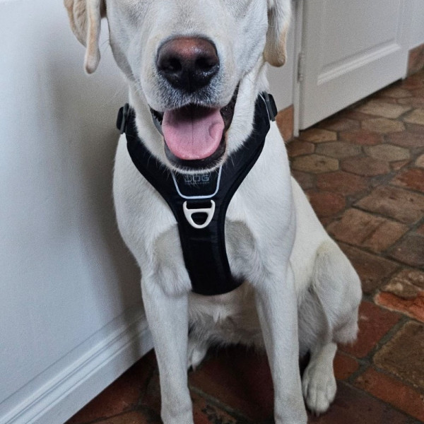 Nala