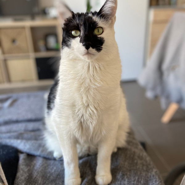 Paco