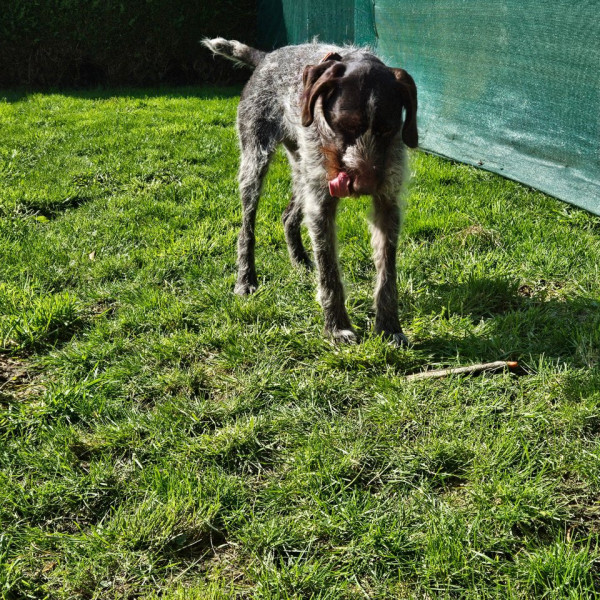 Oskar