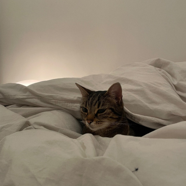 Minette