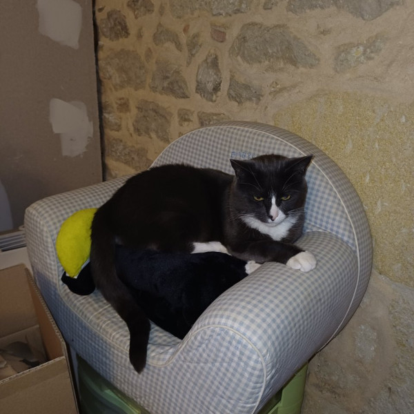 Noé