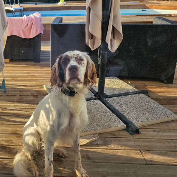 Max