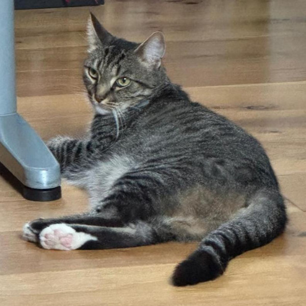 Photo de Séléné