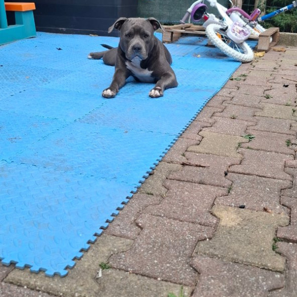 Photo de Xena