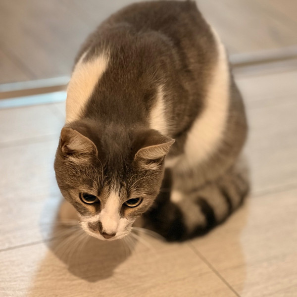 Aiko
