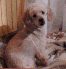 UGO