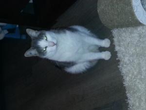 LILOU