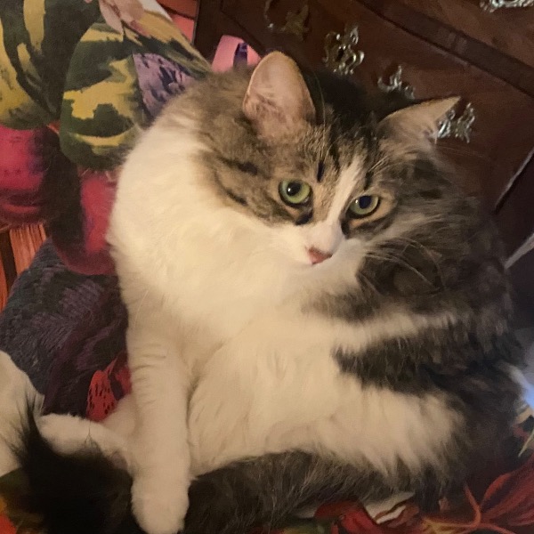Photo de Sookie