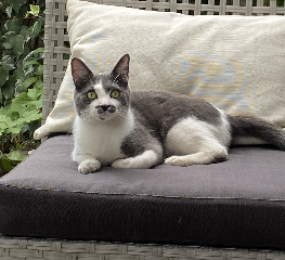 Photo de Oscar