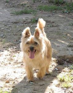 Zozo
