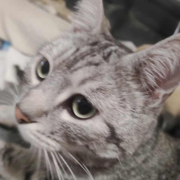 Photo de Bienveillance