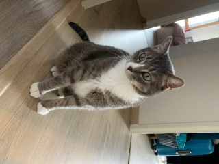 Photo de Pouchok