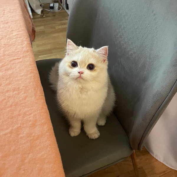 Yuki