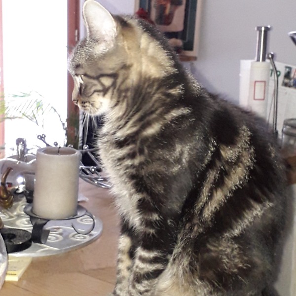 Photo de LISKA