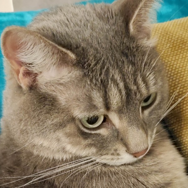 Photo de HAZEL