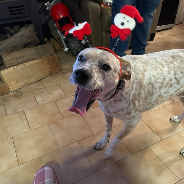 Photo de naia