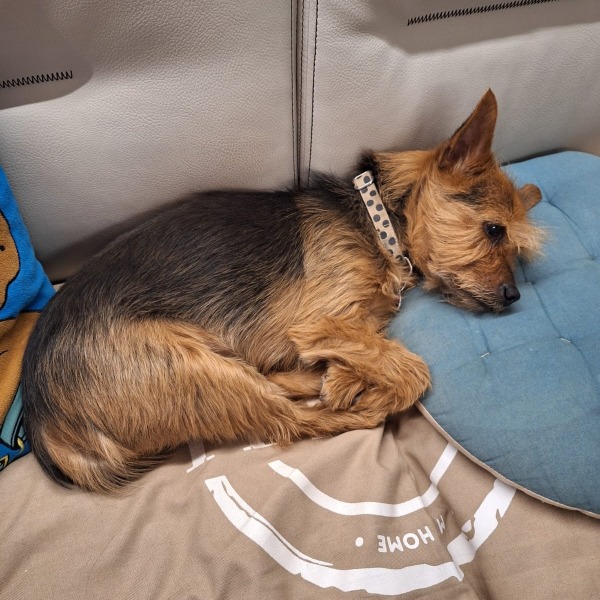 Photo de Charlie