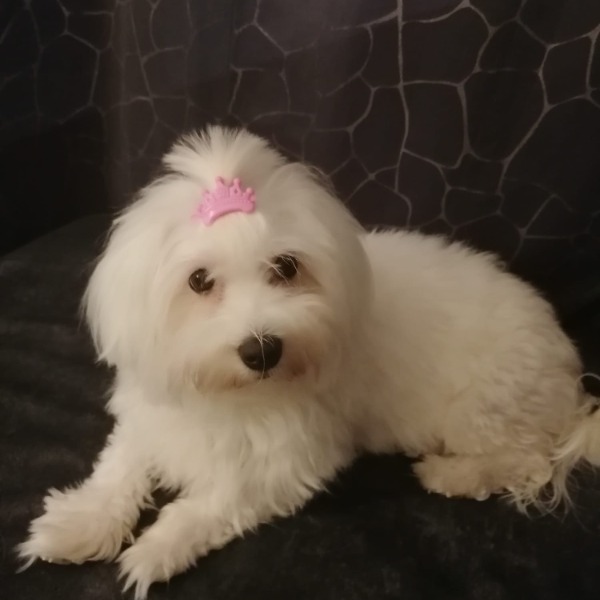 Maddie