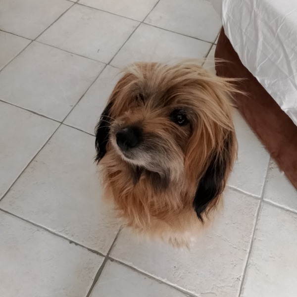 Photo de Osiris