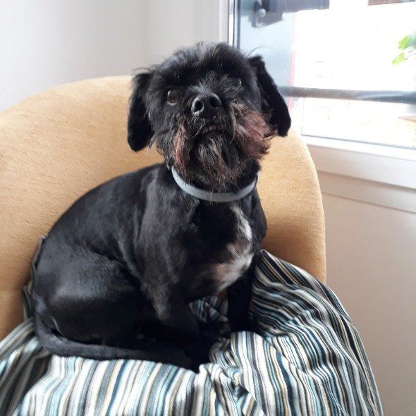 Photo de HERMES/BIBOU