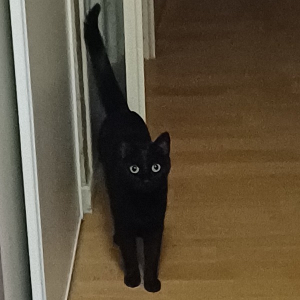 Photo de Zita