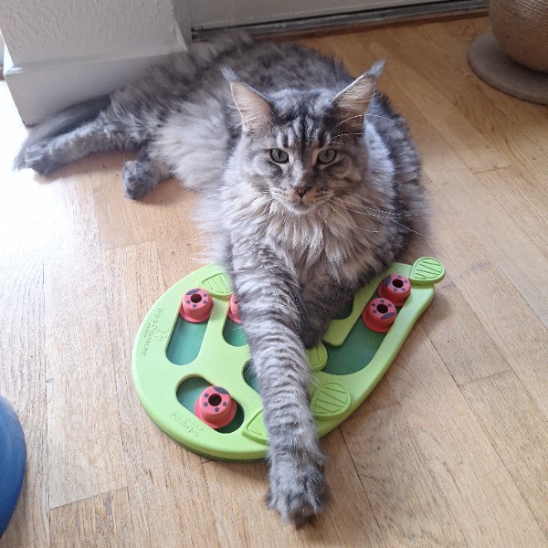 Photo de Tamaka