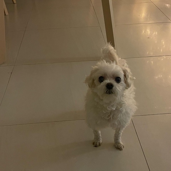Photo de Lala