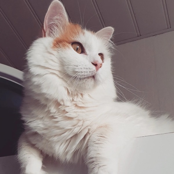 Rio
