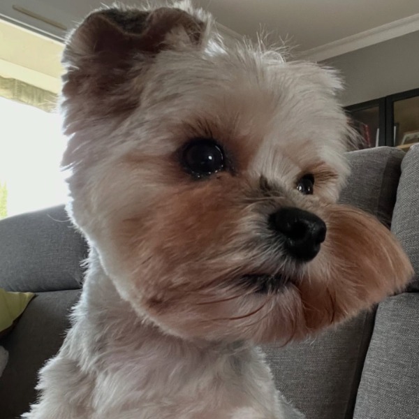 Photo de Sunny
