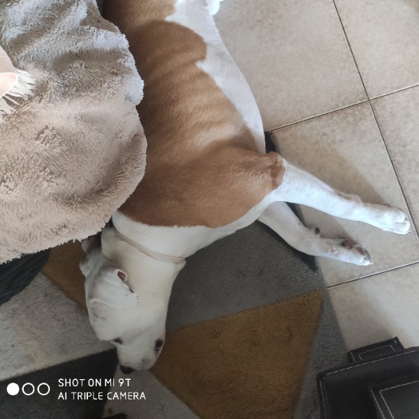 Photo de Twix
