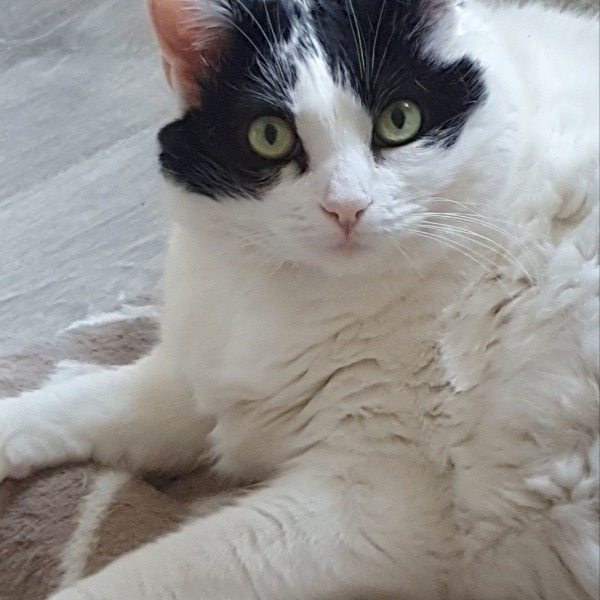 Photo de Hermione