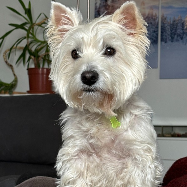 Photo de Canelle