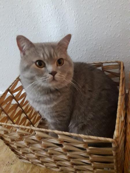 Photo de Roy