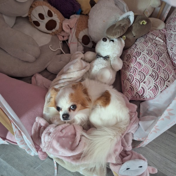 Photo de Binebi