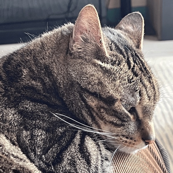 Photo de Oslo