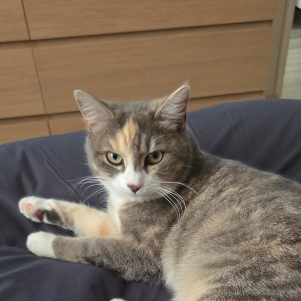 Mimi