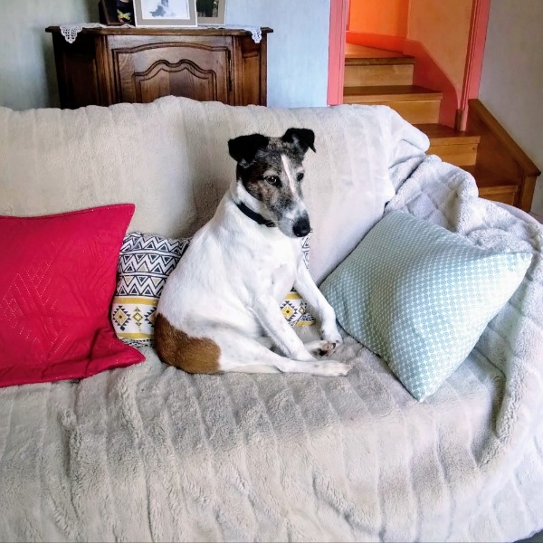 Photo de lucky