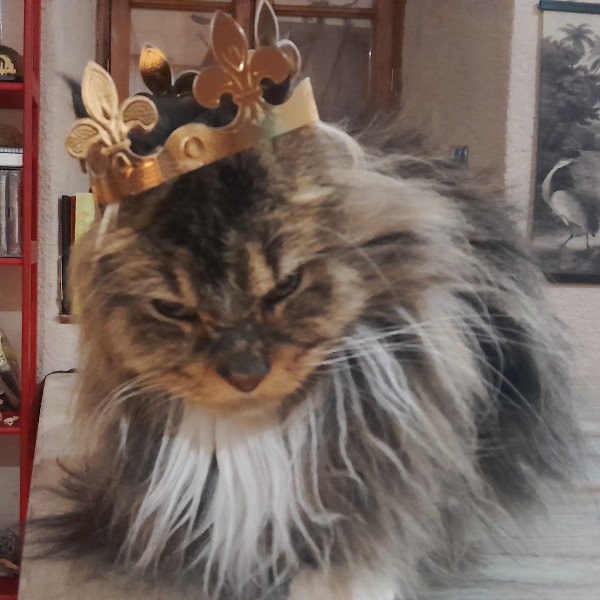 Photo de Lorien