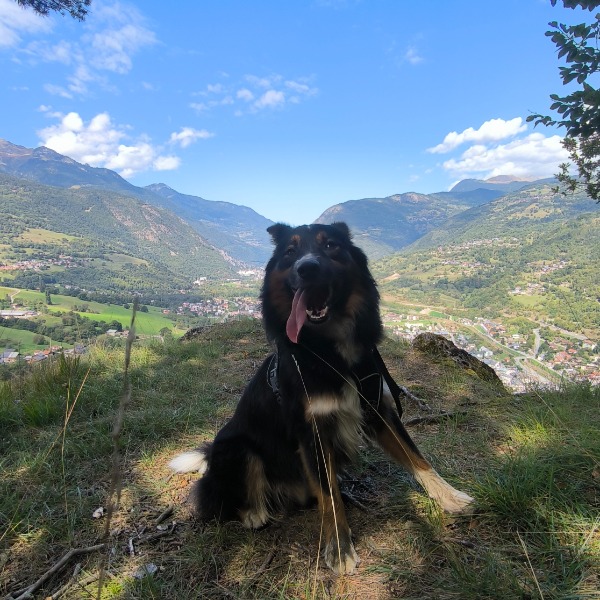 Photo de Ani