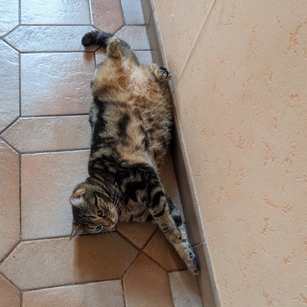 Photo de Titi