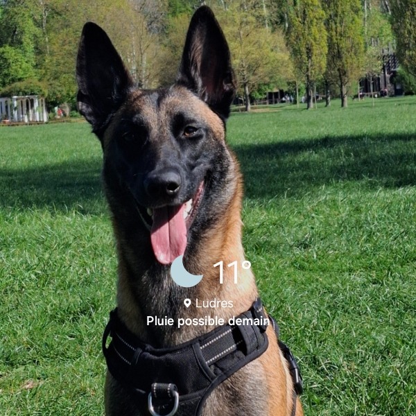 Photo de Nala