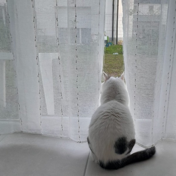 Photo de Papuche