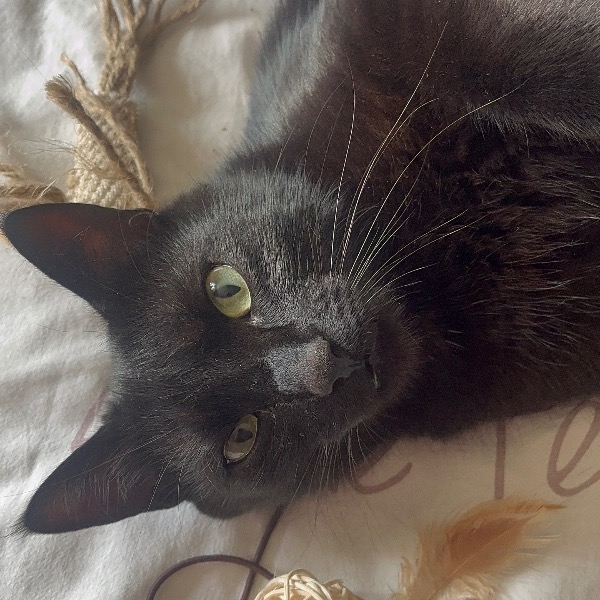 Zeus