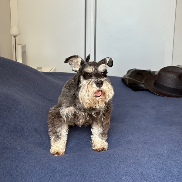 Photo de Coco