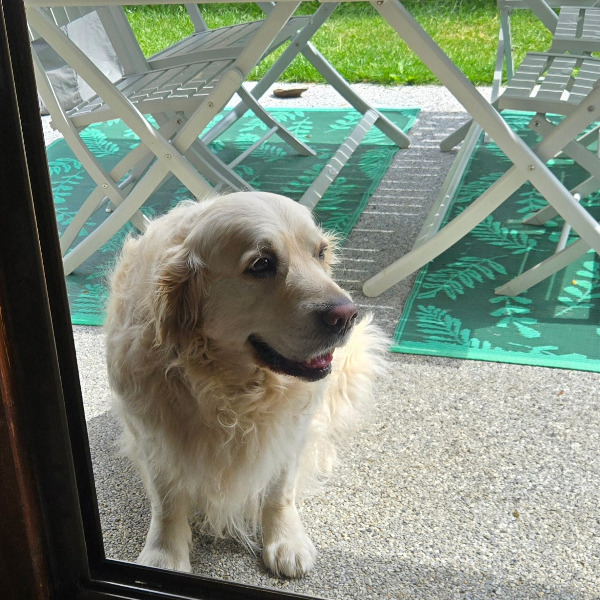 Photo de pupy