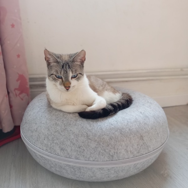Yuko