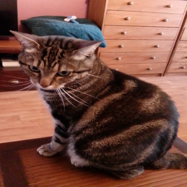 Photo de Lilou